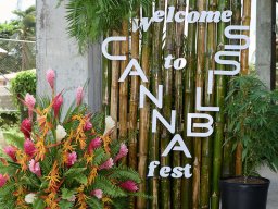 Cannabliss Events